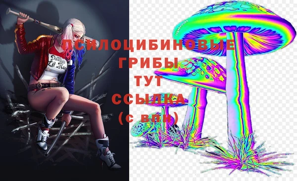 прущие грибы Новодвинск