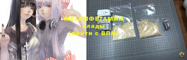 прущие грибы Новодвинск