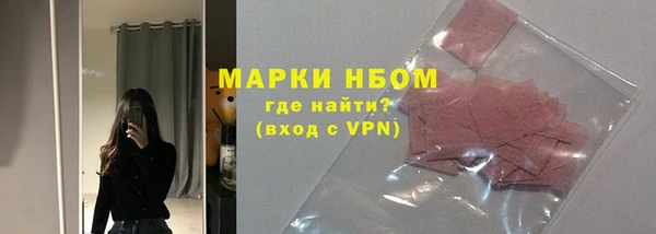 шишки Абаза