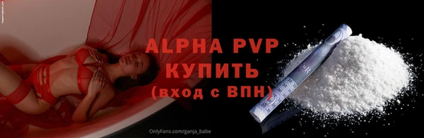 прущие грибы Новодвинск