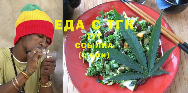 шишки Абаза