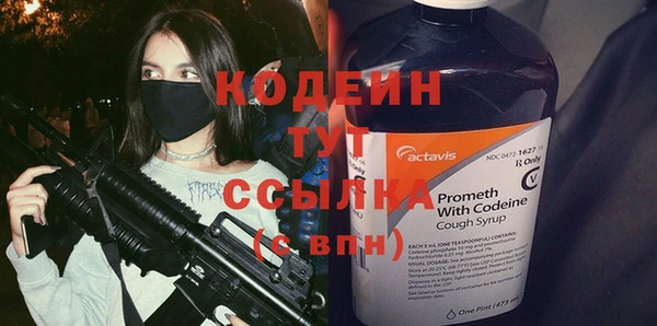 СК Няндома