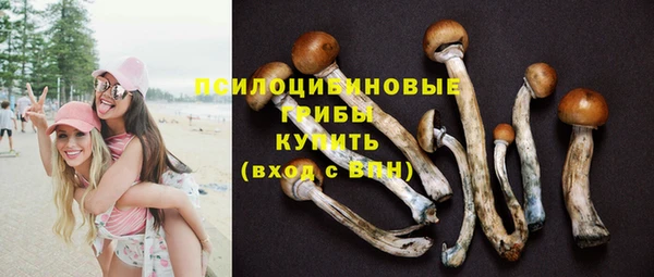 спиды Абдулино