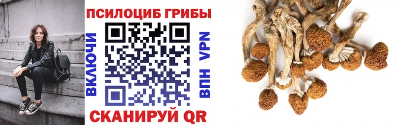 Галлюциногенные грибы мицелий кракен маркетплейс Рыльск